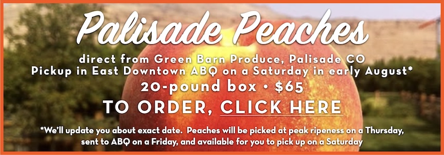 Banner - peaches 2026
